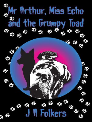 cover image of Mr Arthur, Miss Echo and the Grumpy Toad